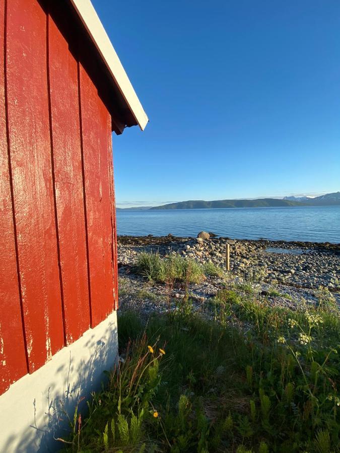 Unique And Charming With Fantastic Sea Views * Tromsø